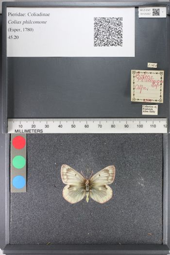 Media type: image;   Entomology 125357
